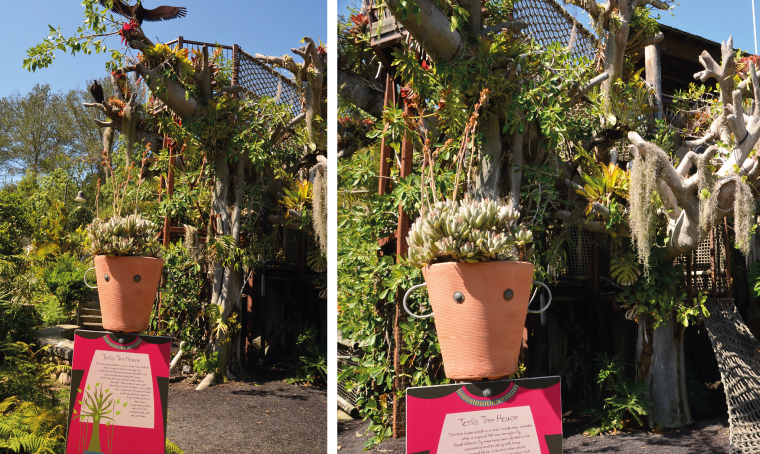 A Pot Head At The San Diego Botanic Gardens Gallery 4