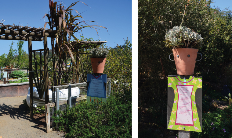 A Pot Head At The San Diego Botanic Gardens Gallery 6