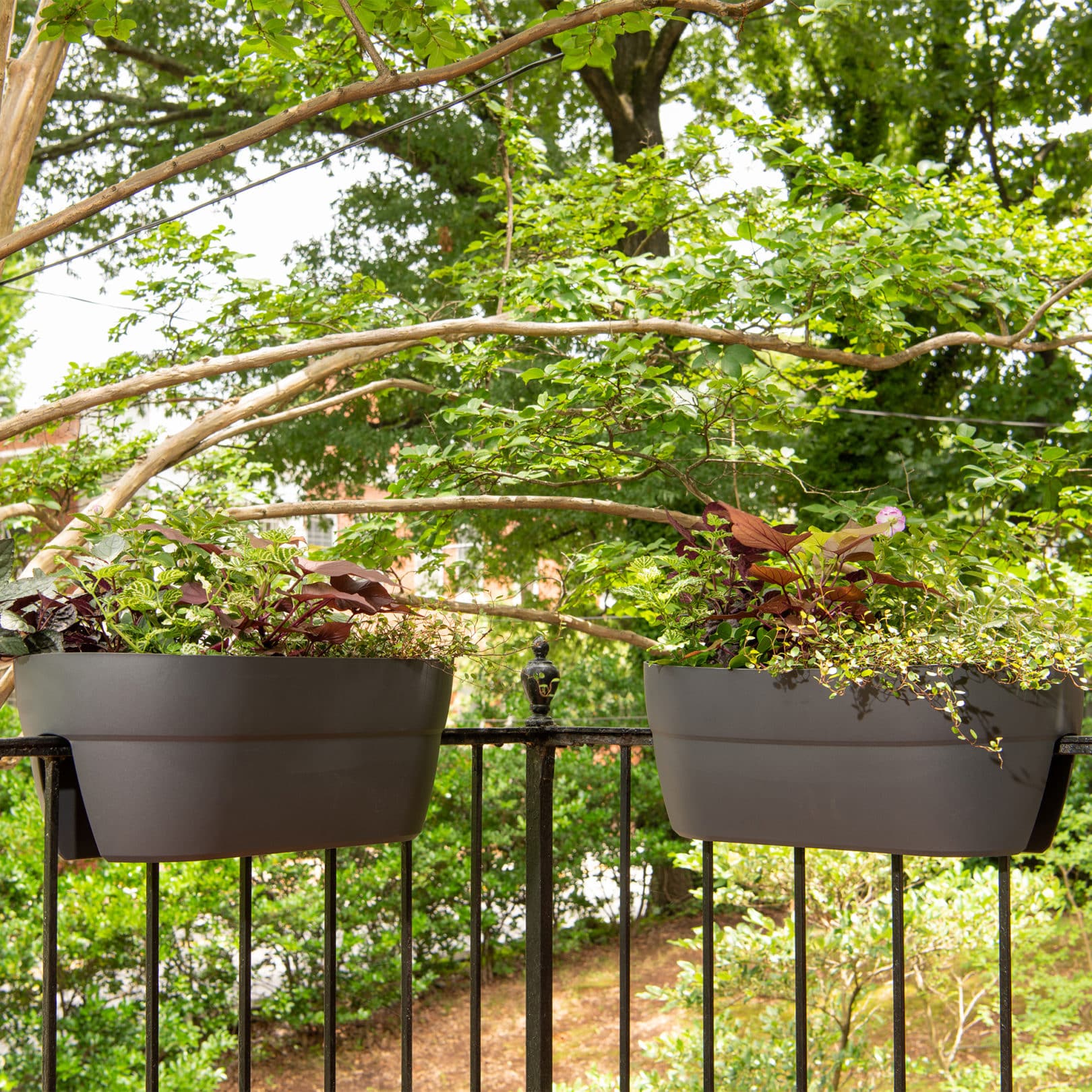 balcony railing with ella rail planters