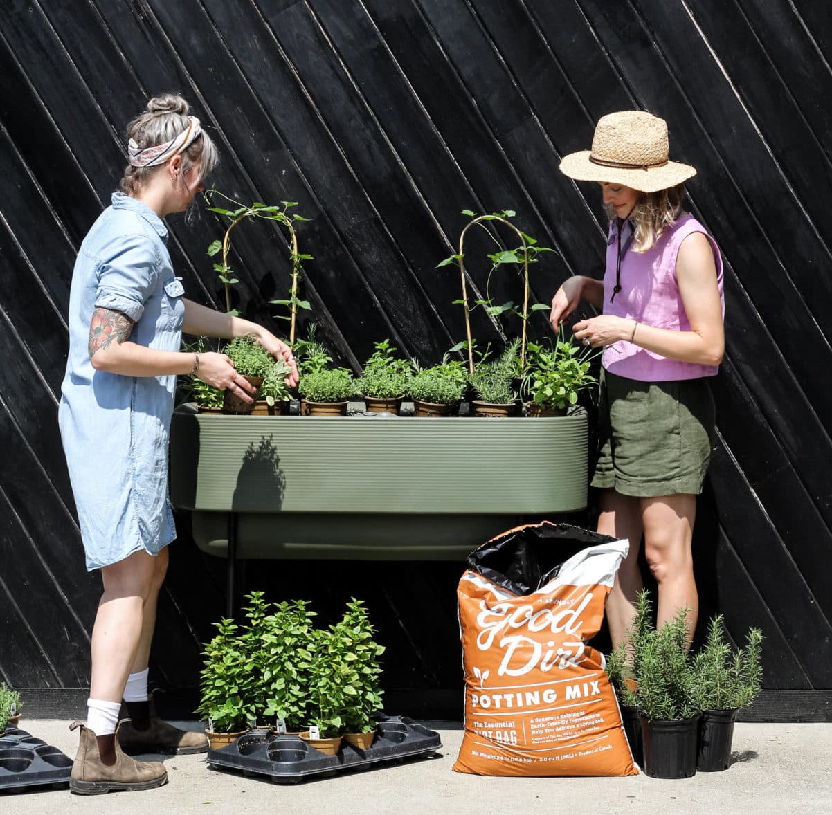 How To Grow Your Own Herbs