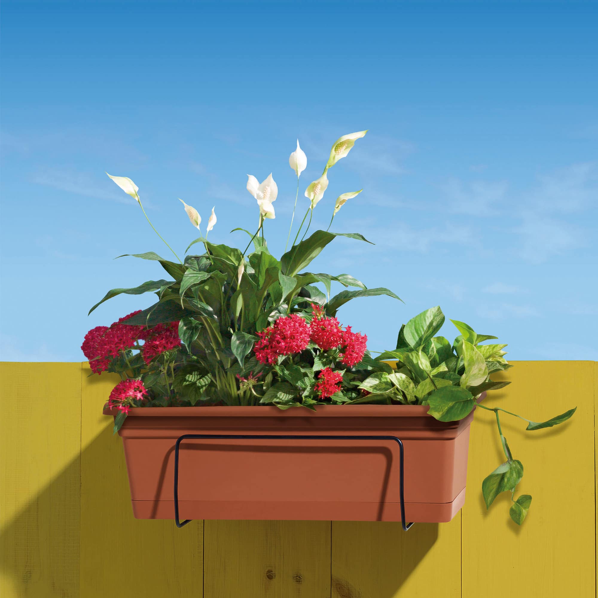 Emma Rectangular Planter with Hanging Hook