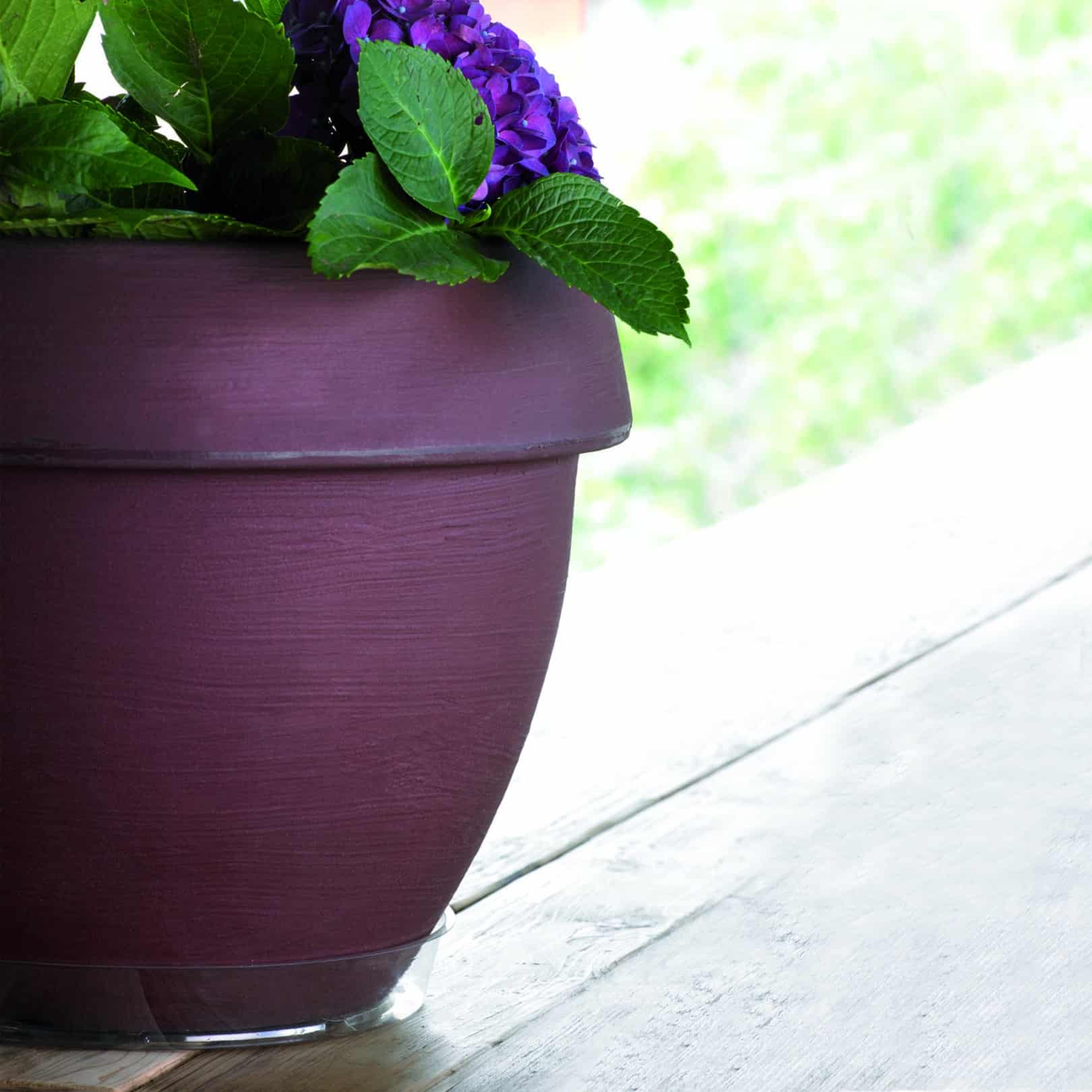 flowered pot with basic clear saucer