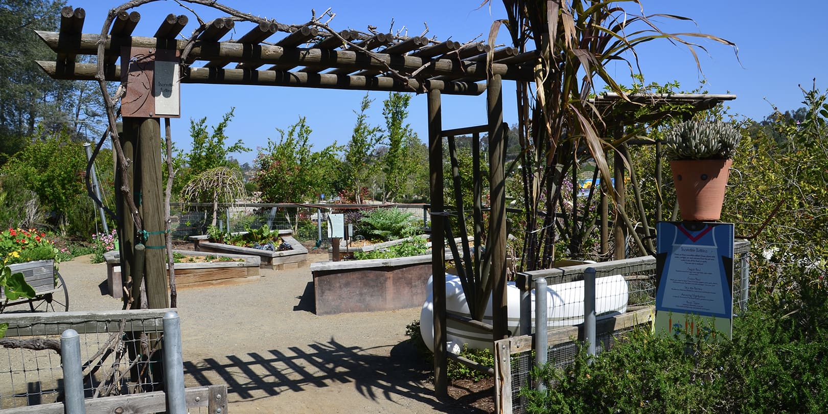 A Pot Head At The San Diego Botanic Gardens