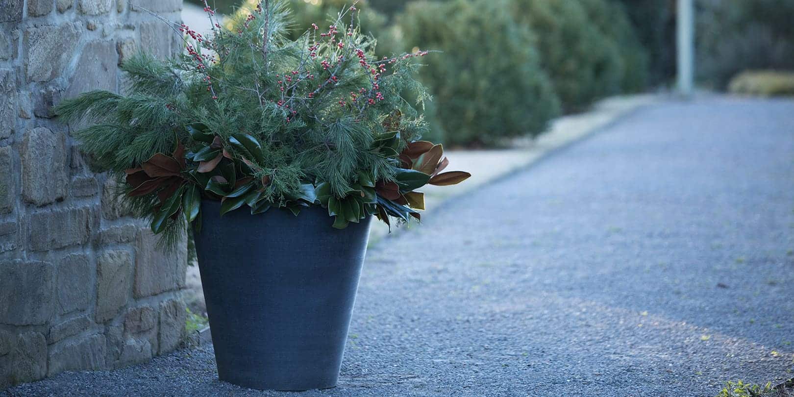 Madison Planter season plants