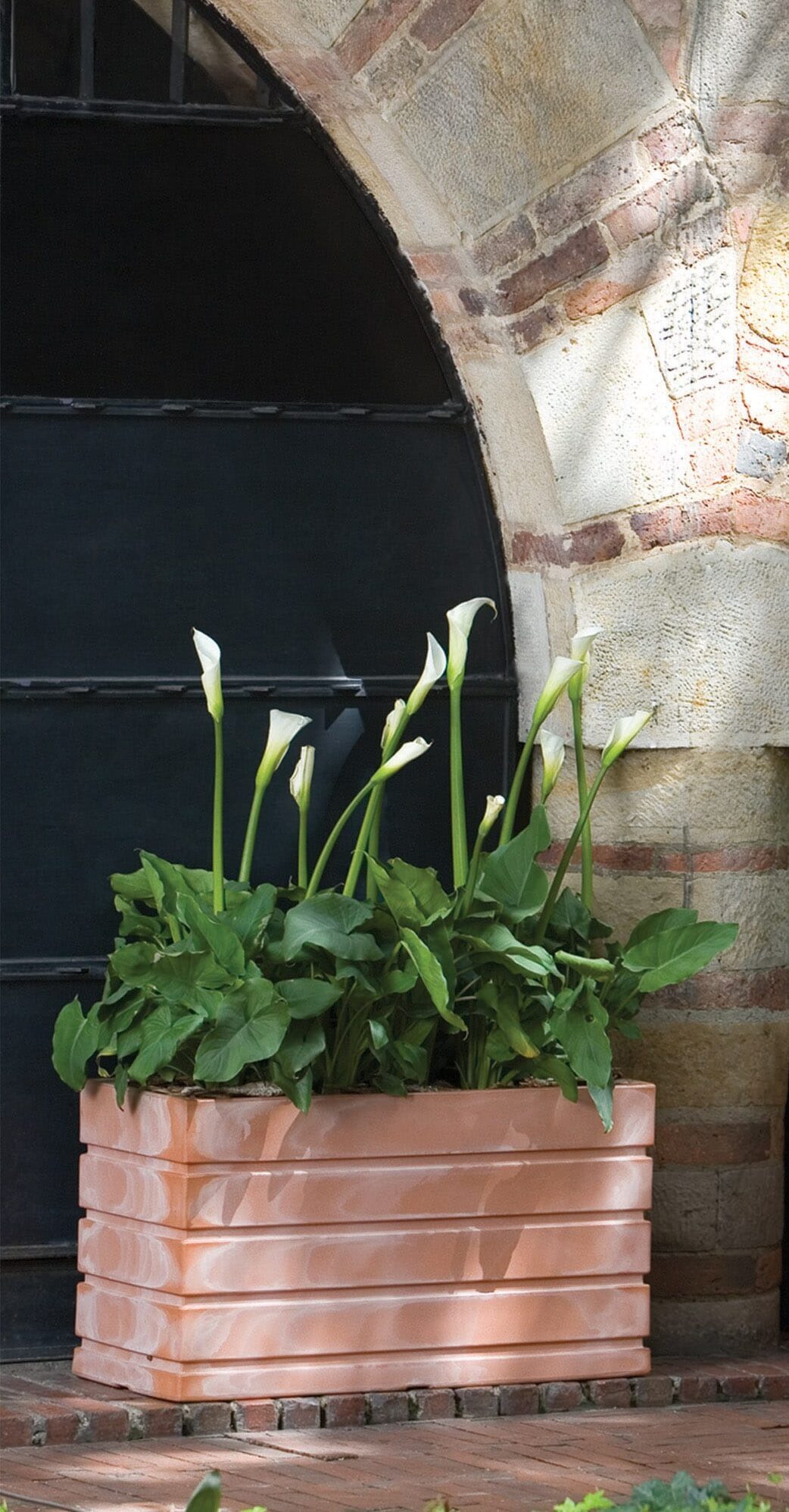 Terracotta Rectangular Planter