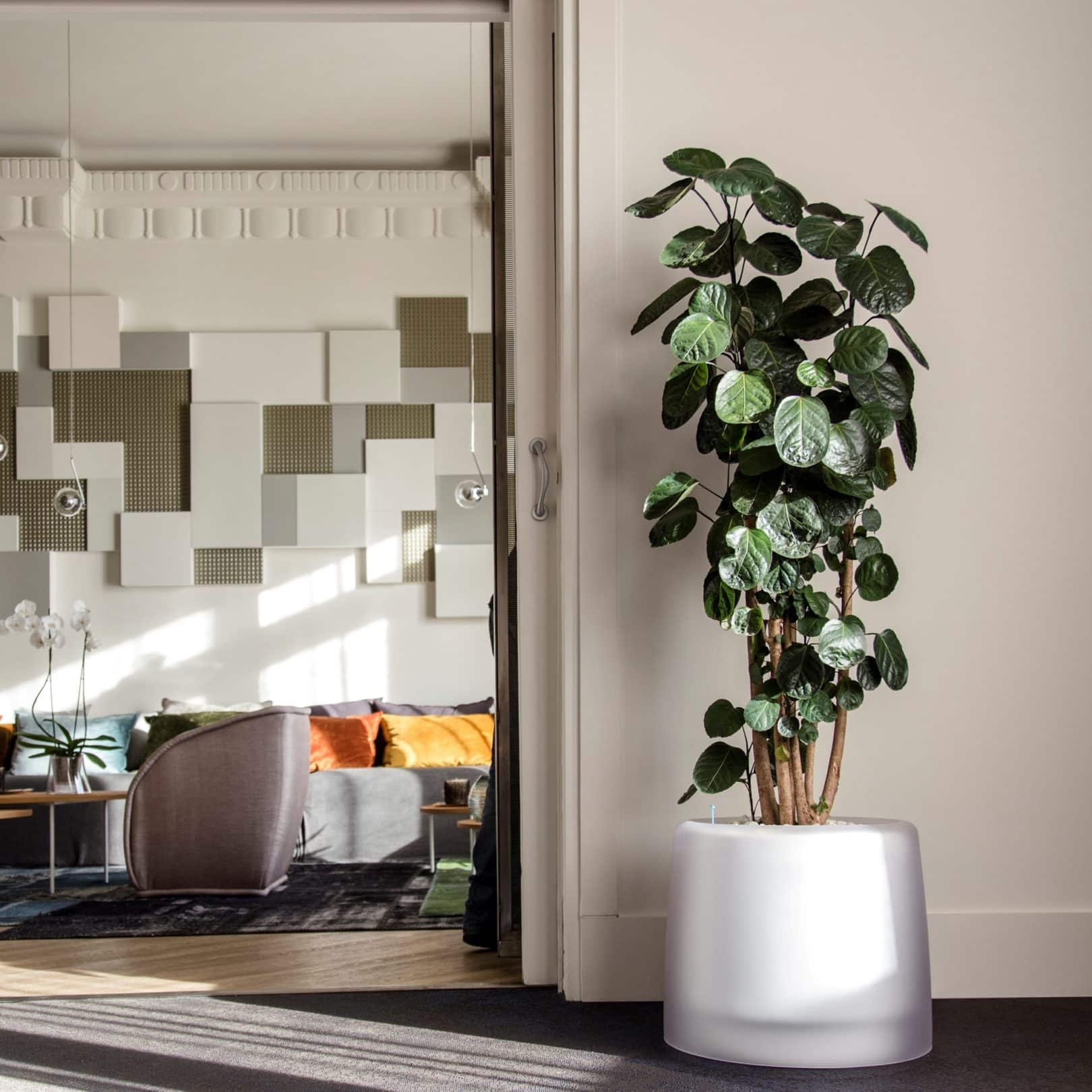 Lux white planter in grey office space