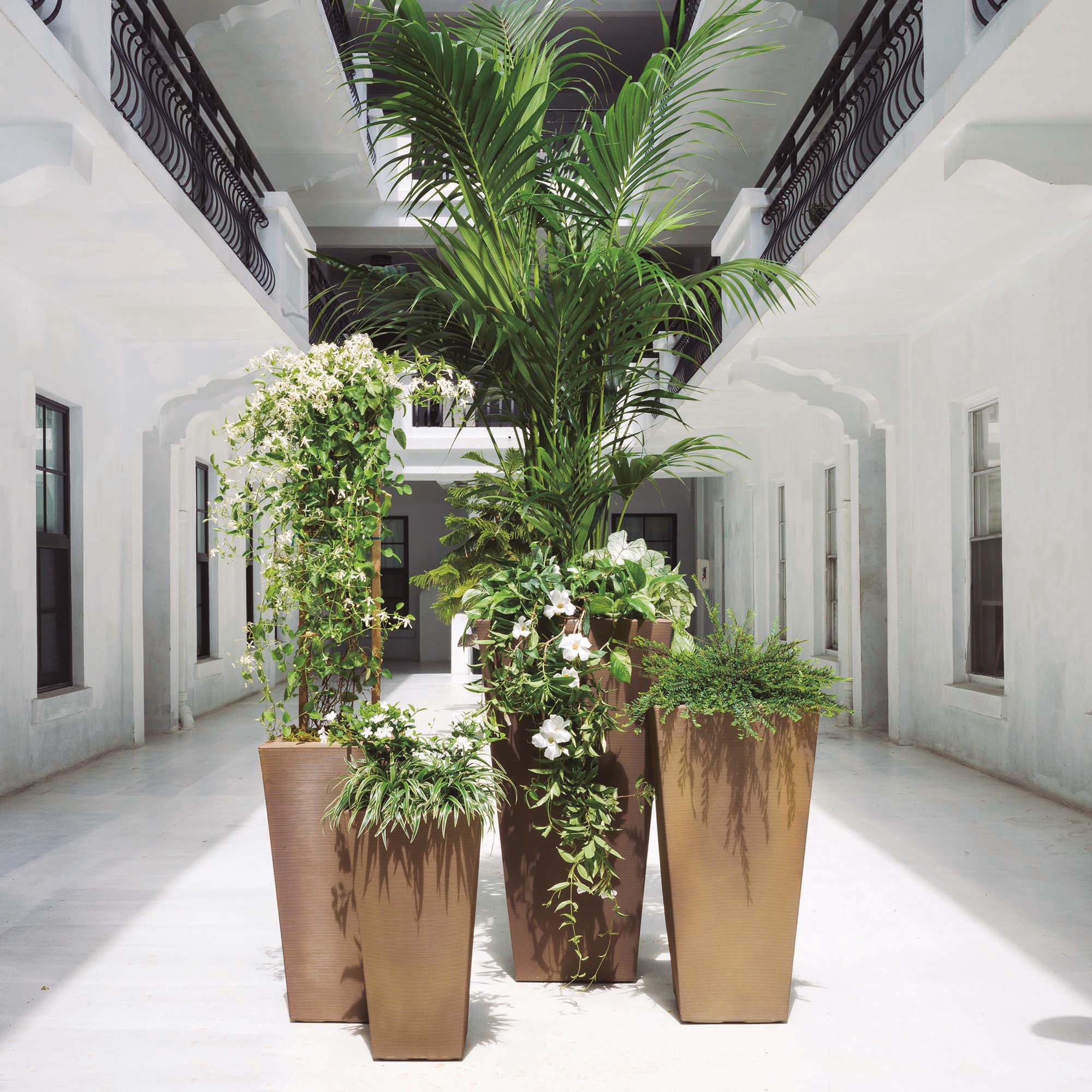 Potted Family of Bowery Planters Mocha