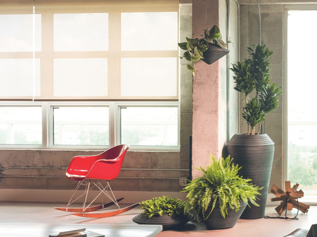 Daniel hanging planter in concrete indoors.