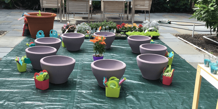 Fun Gardening with Kids Activity